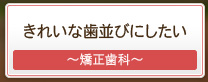 きれいな歯並びにしたいなら柏サニー歯科の矯正歯科